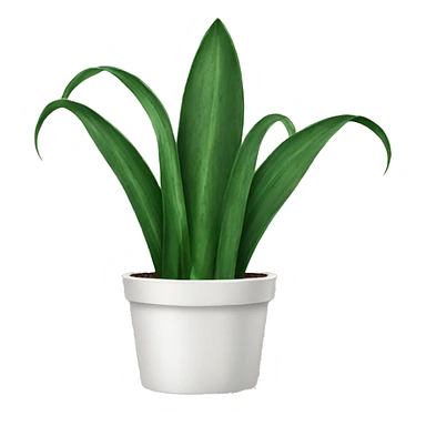 Snake Plant  sticker