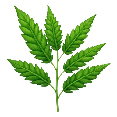 weed rumex sticker