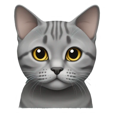British Shorthair Cat Tabby Grey sticker