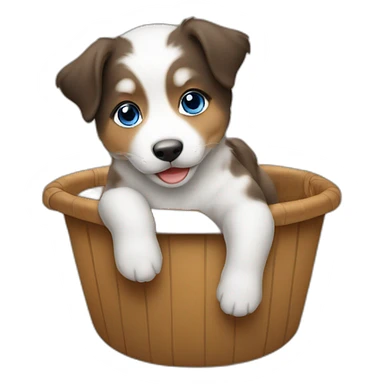 Asian baby riding on australian shepherd dog with blue eyes sticker