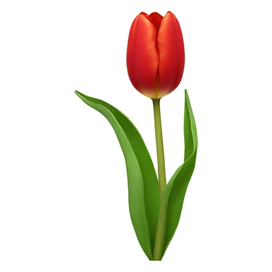 red tulip sticker