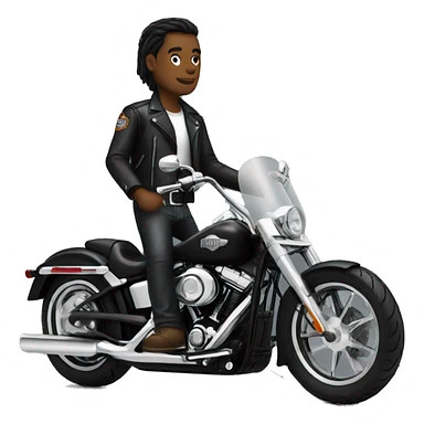 Black harley davidson with white rider sticker