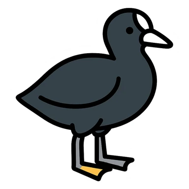 black coot bird, a duck with black feathers, white beak, and grey legs sticker