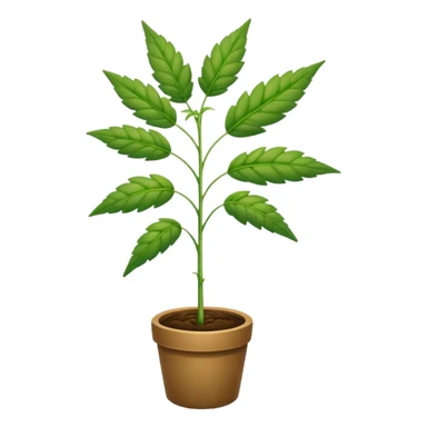 Weed plant sticker