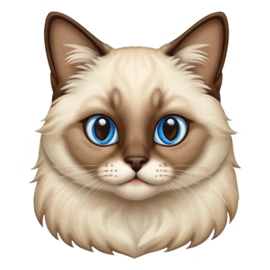 
Siamese cat: long hair fur blue eyes sticker
