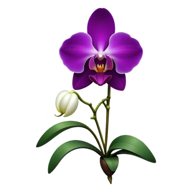 Cinematic Realistic Orchid Emoji, Exotic and elegant, with intricate, velvety petals in deep purple and white, forming a delicate and symmetrical blossom. The slender green stem holds the flower high, while surrounding leaves add lush contrast. Soft glowing outline, capturing the essence of rare beauty and sophistication in a captivating orchid. sticker