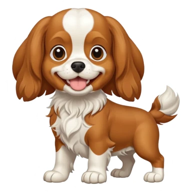 Cavalier King Charles Spaniel dog Preliminary Acceptance Inspection sticker