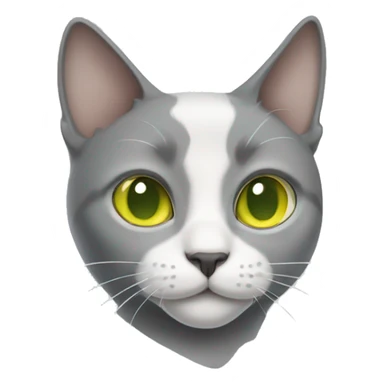 Gray-white cat with yellow-green eyes and a gray nose sticker