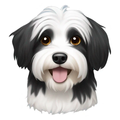 Black and white havanese  sticker