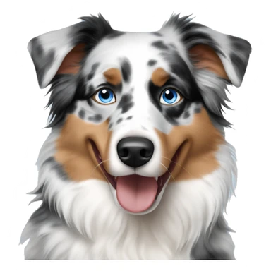 blue merle australian shepherd blue eyes sticker