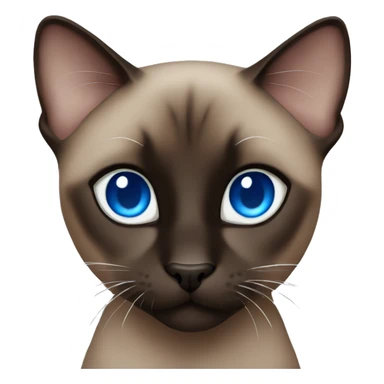 Dark brown and black Siamese cat with blue eyes sticker