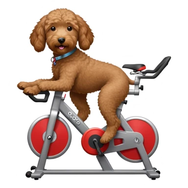 brown goldendoodle riding a spin bike sticker