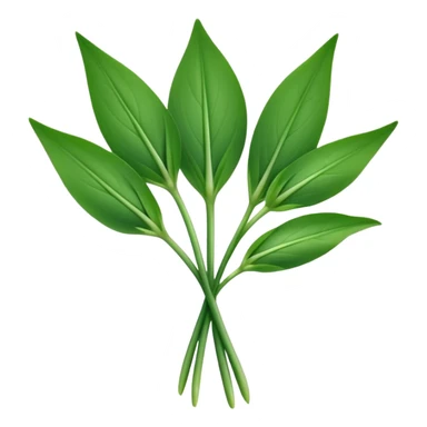 single sprig or small cluster of wild garlic leaves with smooth, elongated, lance-shaped blades, rich vibrant green color, soft central veins, fresh slightly glossy surface, gently arching from slender stems, no roots, no soil, no extras, apple emoji style, soft lighting, subtle shadows, emoji scale sticker