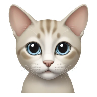 Thai breed cat with a light cream-brown body, dark gray face, ears, and paws. Short fur, sharp ears, and striking light blue eyes with an intense gaze. sticker