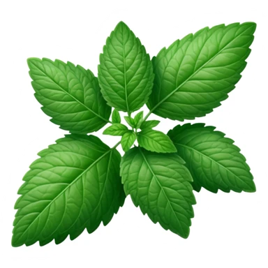 Peppermint (Mentha \(\times \) piperita)  sticker
