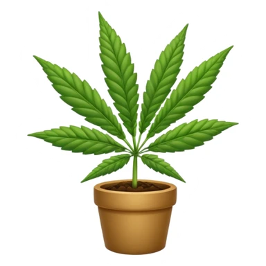 Marijuana plant  sticker