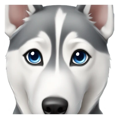 Grey Siberian Husky with blue eyes  sticker