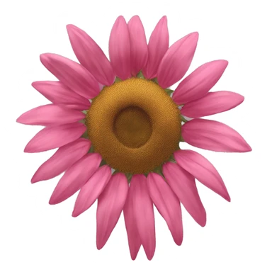 girasol y rosa sticker