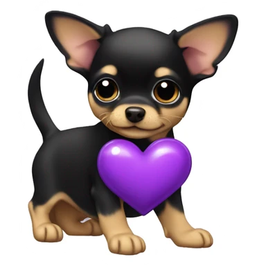 black & tan chihuahua puppy with a purple heart sticker