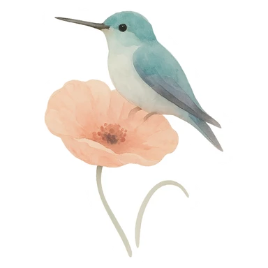 A watercolor style illustration of a hummingbird sitting on a poppy flower, with delicate colors and an artistic impression, no background. sticker