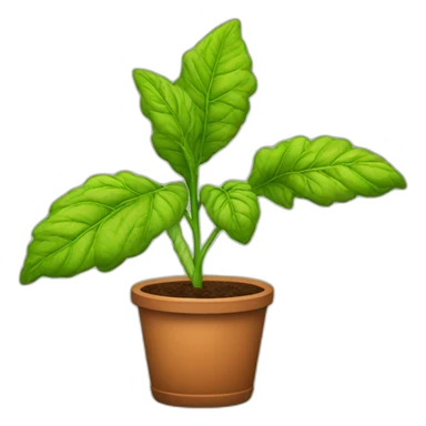 Tobacco plant sticker