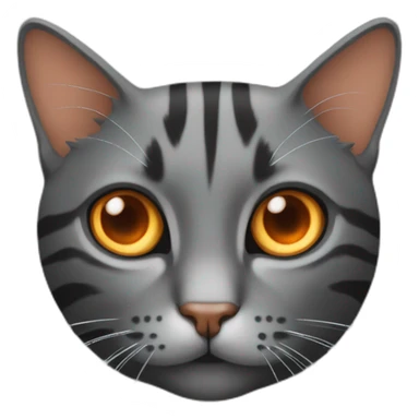 Cat dark grey with stripes and with orange eyes and sticker