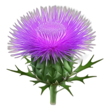 Milk thistle sticker