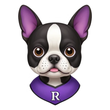 Boston terrier wearing ravens jersey sticker