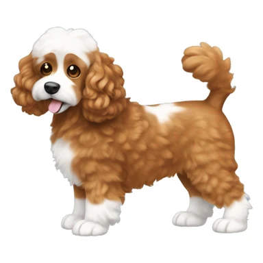 brownish orange cockapoo dog with white feet and fluffy tail with white tip sticker
