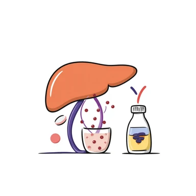 Anti-diabetic treatment diagram: orange liver, pink muscle cells, and yellow fat cells responding to blue anti-diabetic medication, with purple insulin pathways activated. Hand-drawn cross-section showing cellular absorption of red glucose particles and balanced blood sugar levels. sticker