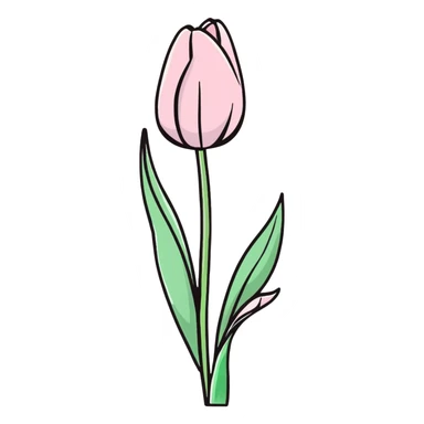 Single soft pink tulip with watercolor petals, clean white background, green stem, and curved soft leaves, elegant hand-painted style sticker