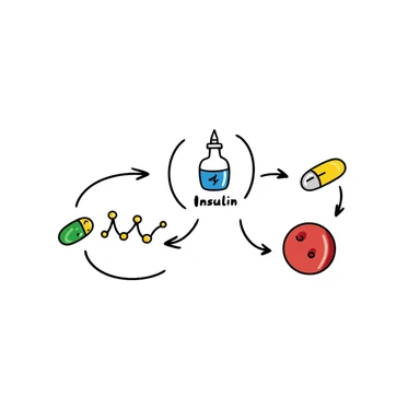 Anti-diabetic visualization with metabolic pathway: colorful flowchart showing blue insulin, green medication pills, yellow glucose molecules, and red blood cells. Hand-drawn educational diagram with arrows showing glucose regulation and insulin sensitivity improvement. sticker