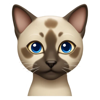 Dark Brown face - beige body female thai cat with blue eyes  sticker