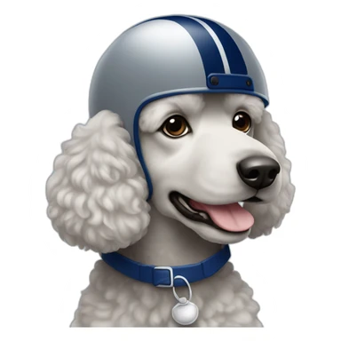 Poodle wearing a grey football helmet with dark blue stripe sticker