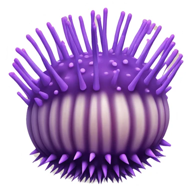 purple sea urchin (Strongylocentrotus purpuratus) purple ball with lots of lighter purple spikes sticker