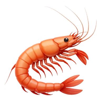 White shrimp  sticker