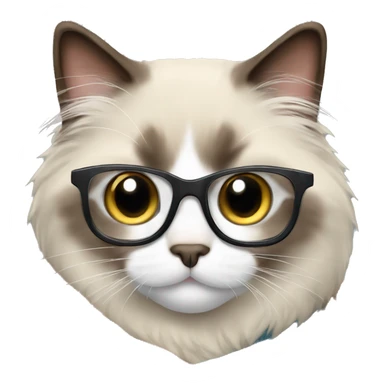 ragdoll cat wearing glasses and blanket sticker