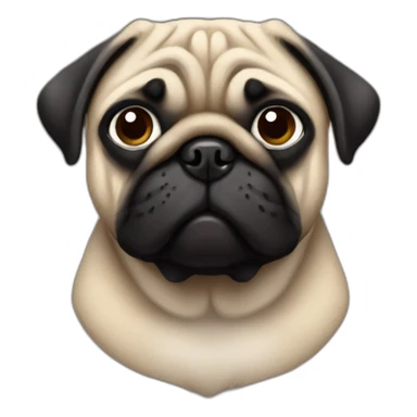 pug wearing a black t-shirt sticker