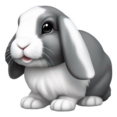 Mini lop eared rabbit, grey, with a small white patch on nose and a white stripe on the top of the head sticker