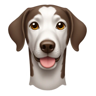 Liver gsp with ticking sticker