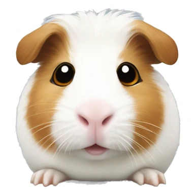 White Guinea pig Looks Like a teddybear with Brown nose  sticker