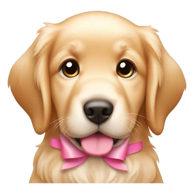 female golden retriever puppy with pink bows on head and ear sticker