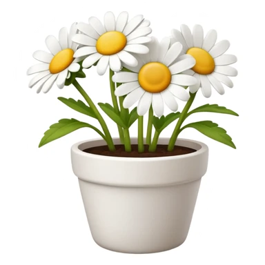 daisy flower pot sticker
