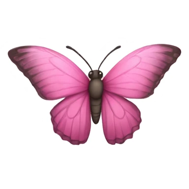 Borboleta rosa e reta sticker