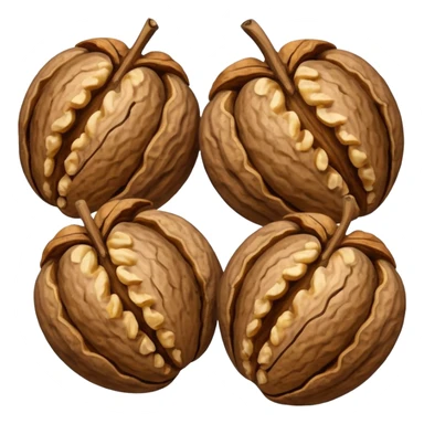 the nut walnuts sticker