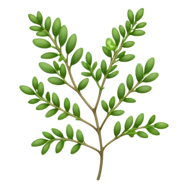 Cinematic Realistic Thyme Emoji, Compact and earthy, with tiny green leaves densely packed on delicate stems. The soft fragrance of the leaves fills the air, creating an atmosphere of warmth and subtle richness. Soft glowing outline, capturing the essence of simplicity and natural healing in a sprig of thyme! sticker