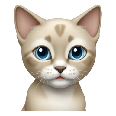 Thai breed cat with a light cream-brown body, dark gray nose and face, ears, and paws. sharp ears, and striking light blue eyes  sticker