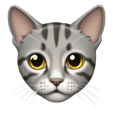 liam gallagher as a grey tabby cat sticker