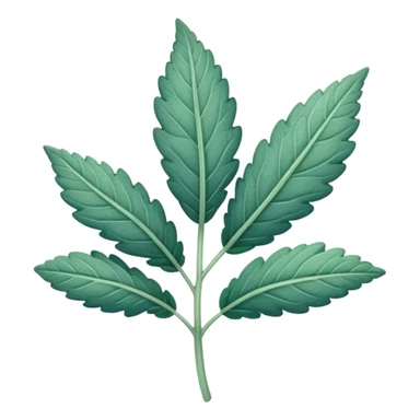 single clary sage plant leaf in bluey green colour sticker