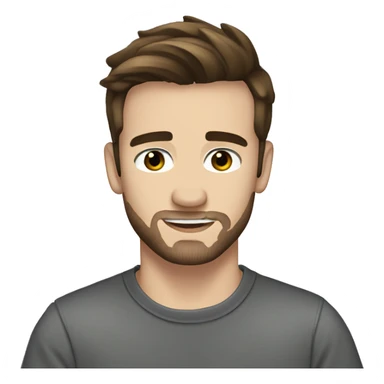 Liam Payne sticker
